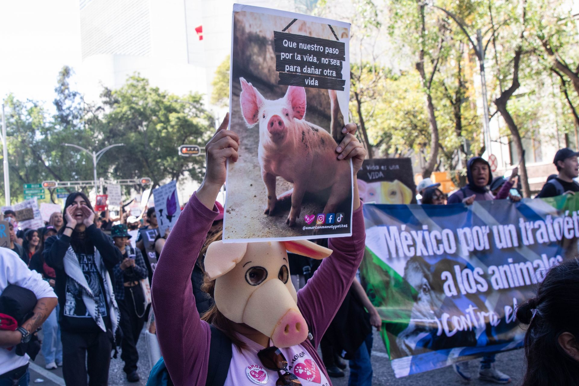 Activistas contra el matrato animal protestan en la CDMX. (Cuartoscuro)
